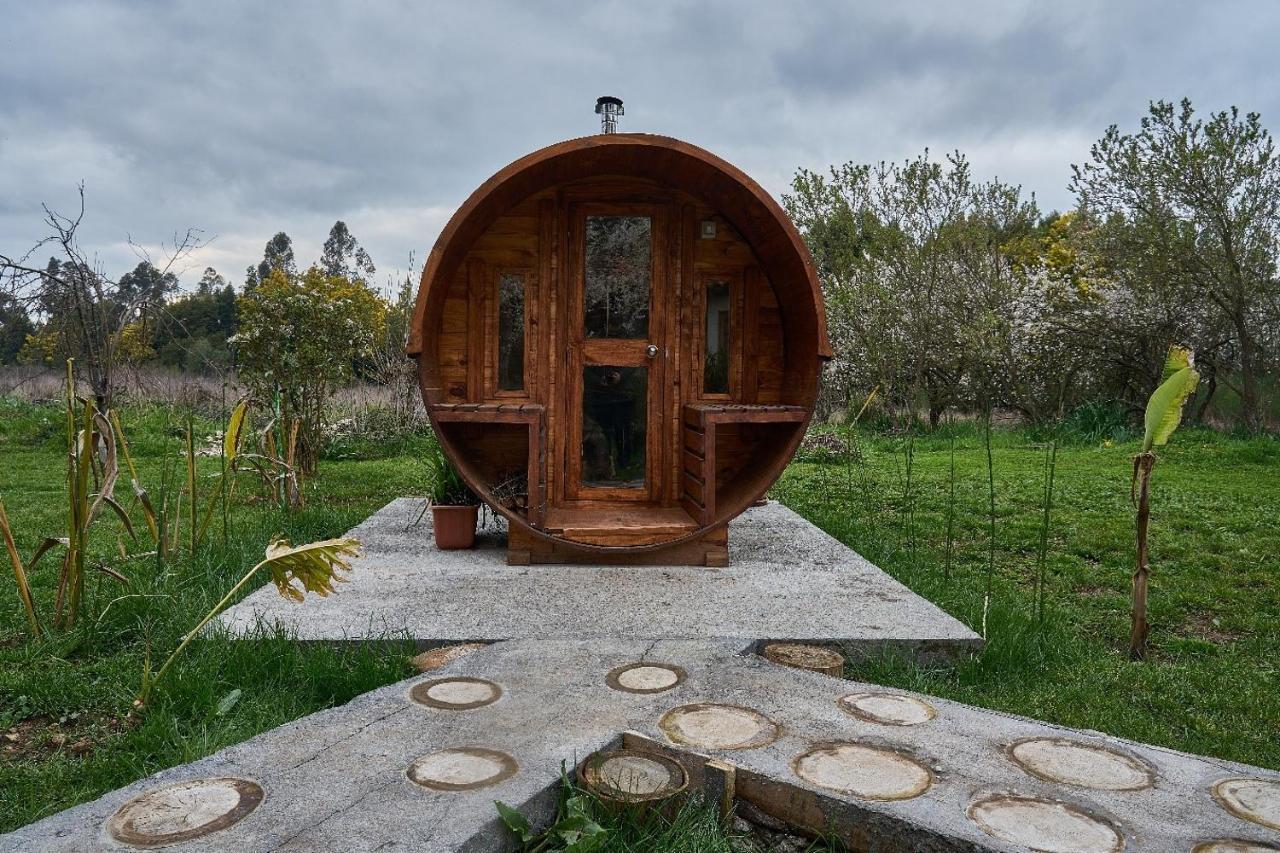 La Casa De Adobe Natural Y Mas Bulnes Kültér fotó