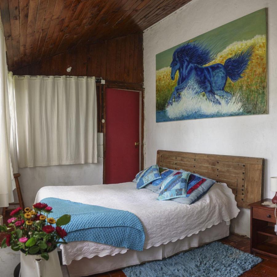 La Casa De Adobe Natural Y Mas Bulnes Kültér fotó